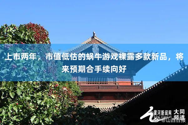 上市两年，市值低估的蜗牛游戏裸露多款新品，将来预期合手续向好