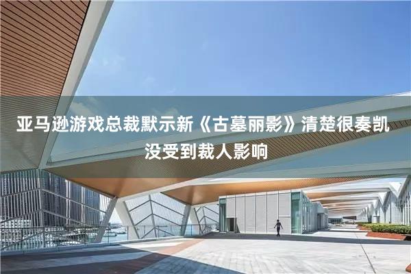 亚马逊游戏总裁默示新《古墓丽影》清楚很奏凯 没受到裁人影响