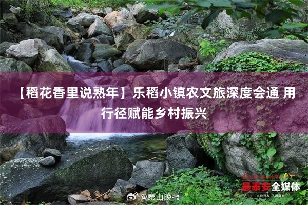 【稻花香里说熟年】乐稻小镇农文旅深度会通 用行径赋能乡村振兴