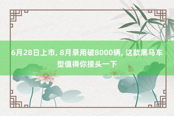 6月28日上市, 8月录用破8000辆, 这款黑马车型值得你接头一下