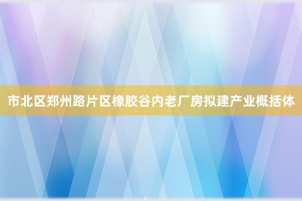 市北区郑州路片区橡胶谷内老厂房拟建产业概括体