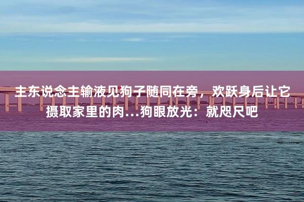 主东说念主输液见狗子随同在旁，欢跃身后让它摄取家里的肉…狗眼放光：就咫尺吧