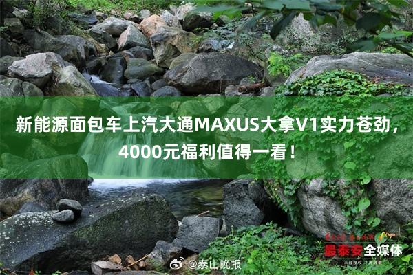 新能源面包车上汽大通MAXUS大拿V1实力苍劲，4000元福利值得一看！